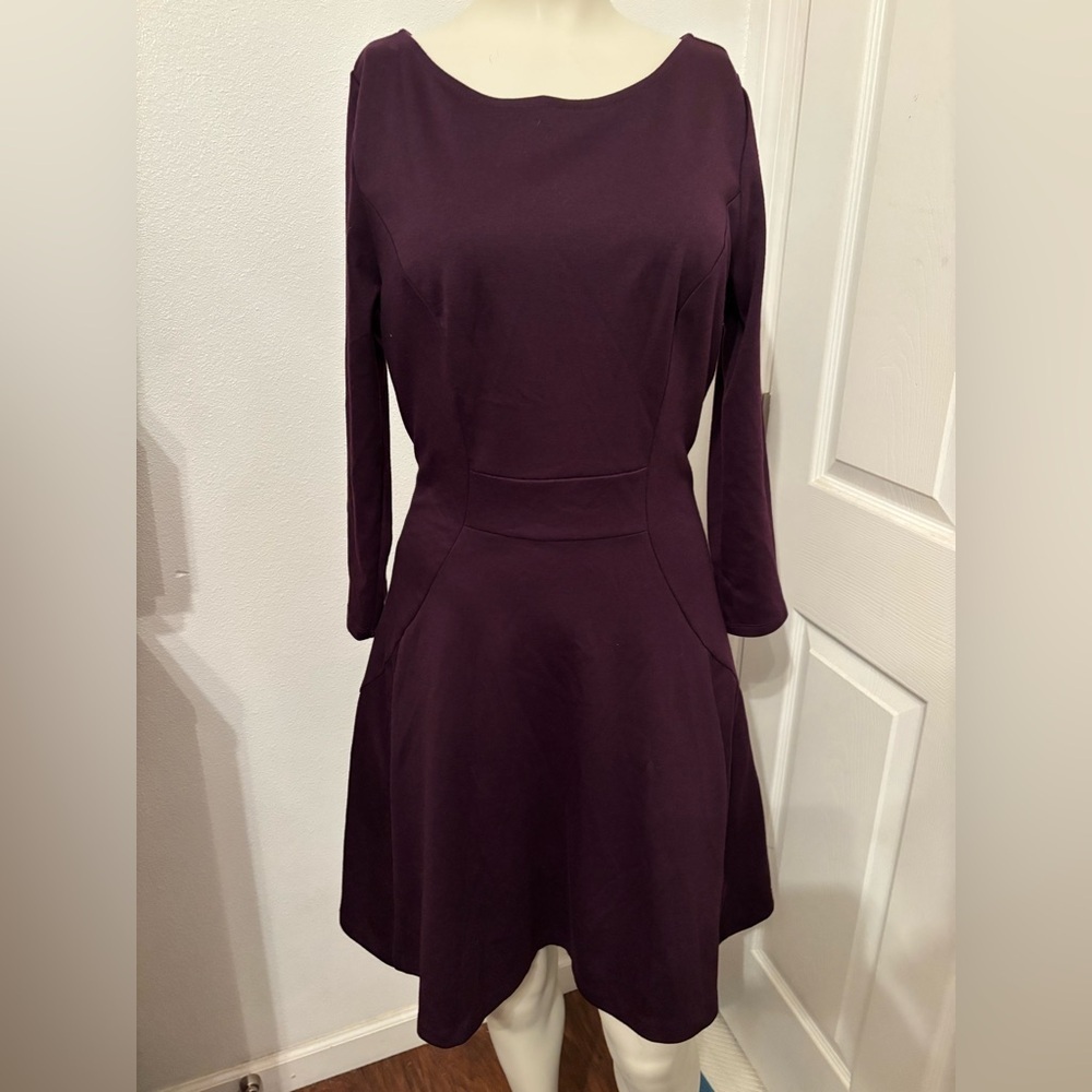 The Limited fit and flare dress M